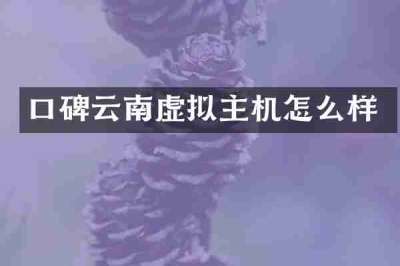 口碑云南虚拟主机怎么样