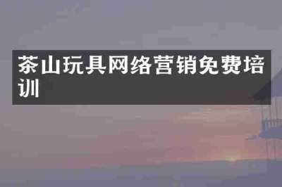 茶山玩具网络营销免费培训