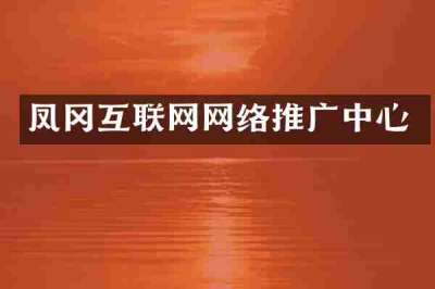 凤冈互联网网络推广中心