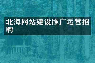 北海网站建设推广运营招聘
