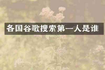 各国谷歌搜索第一人是谁