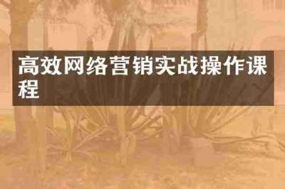 高效网络营销实战操作课程