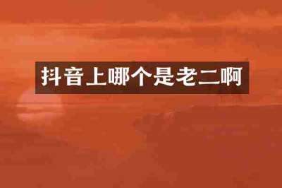 抖音上哪个是老二啊