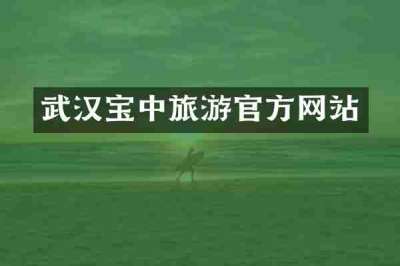武汉宝中旅游官方网站