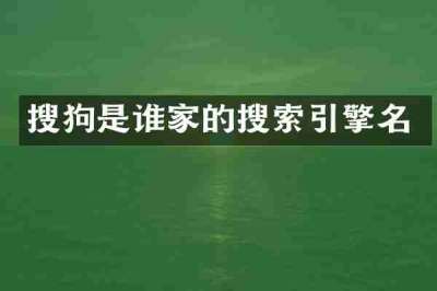 搜狗是谁家的搜索引擎名