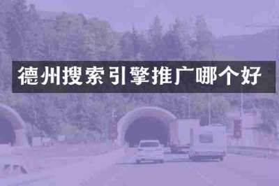 德州搜索引擎推广哪个好
