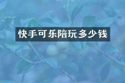 快手可乐陪玩多少钱