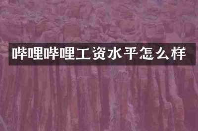 哔哩哔哩工资水平怎么样