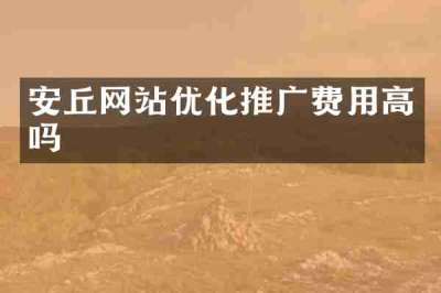 安丘网站优化推广费用高吗
