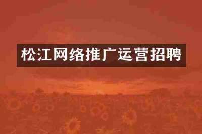 松江网络推广运营招聘