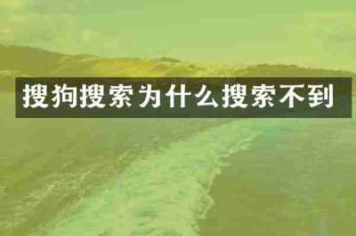 搜狗搜索为什么搜索不到