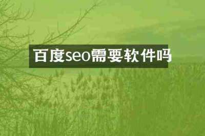 百度seo需要软件吗