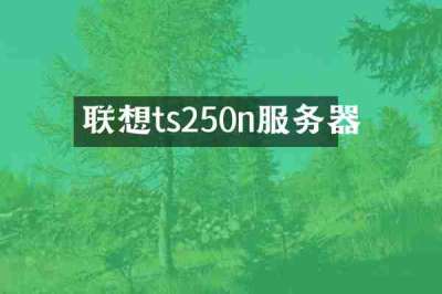 联想ts250n服务器