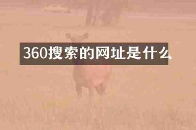 360搜索的网址是什么