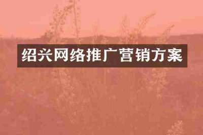 绍兴网络推广营销方案