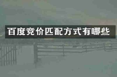 百度竞价匹配方式有哪些