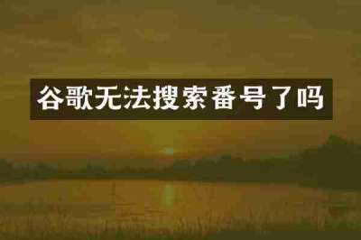 谷歌无法搜索番号了吗