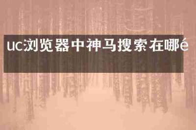 uc浏览器中神马搜索在哪里