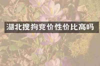 湖北搜狗竞价性价比高吗