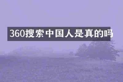 360搜索中国人是真的吗