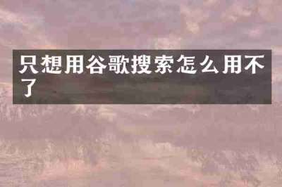 只想用谷歌搜索怎么用不了