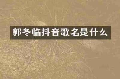 郭冬临抖音歌名是什么