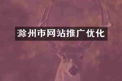 滁州市网站推广优化