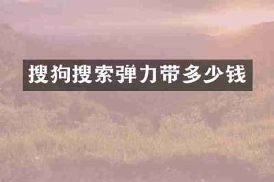 搜狗搜索弹力带多少钱