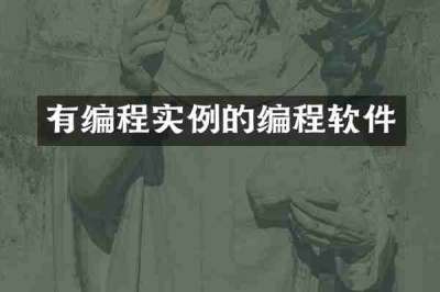 有编程实例的编程软件