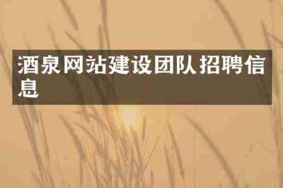 酒泉网站建设团队招聘信息