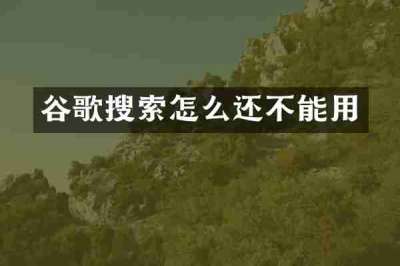 谷歌搜索怎么还不能用