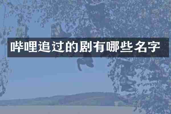 哔哩追过的剧有哪些名字
