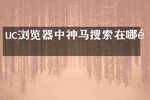 uc浏览器中神马搜索在哪里