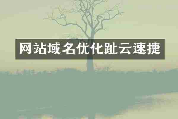 网站域名优化趾云速捷