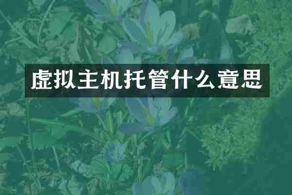 虚拟主机托管什么意思