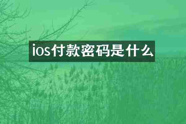 ios付款密码是什么