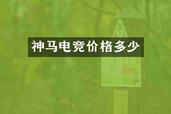 神马电竞价格多少