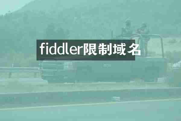 fiddler限制域名
