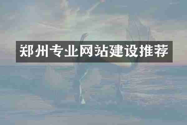 郑州专业网站建设推荐
