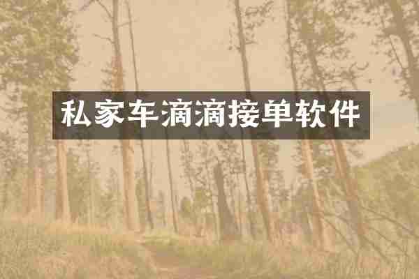 私家车滴滴接单软件