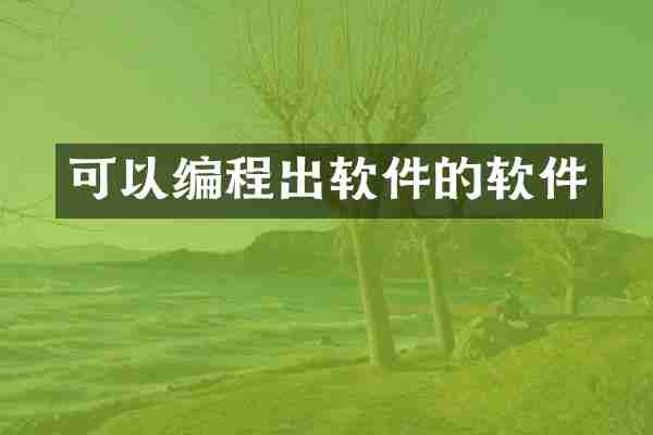 可以编程出软件的软件