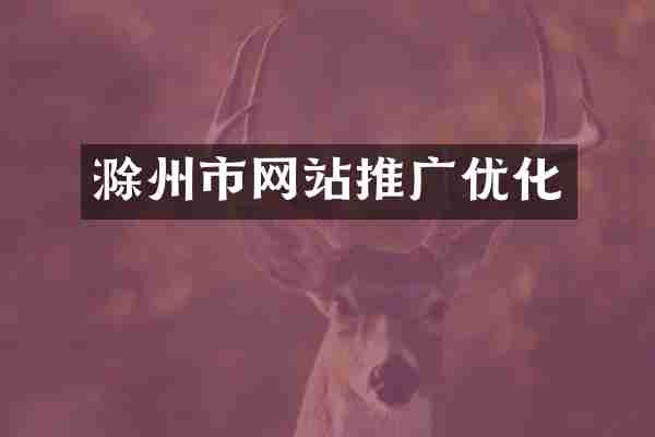 滁州市网站推广优化