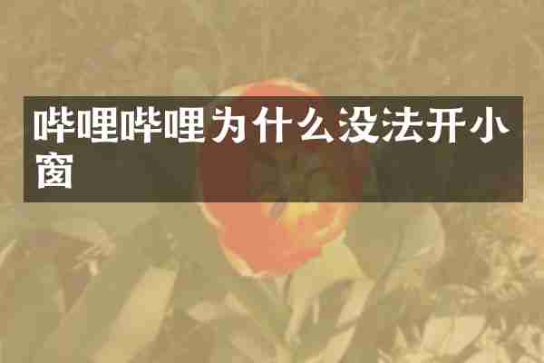 哔哩哔哩为什么没法开小窗