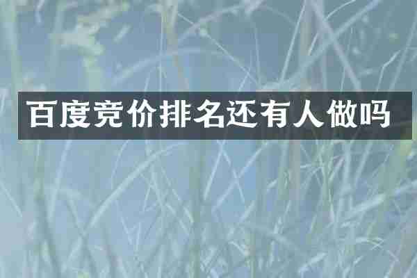 百度竞价排名还有人做吗