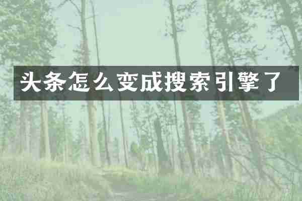 头条怎么变成搜索引擎了