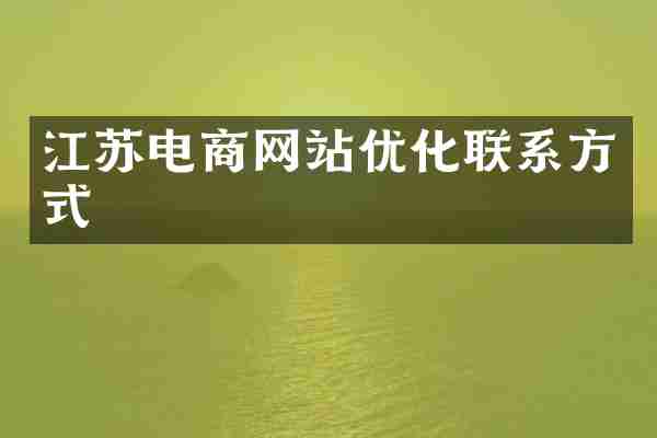 江苏电商网站优化联系方式