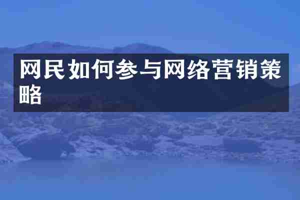 网民如何参与网络营销策略