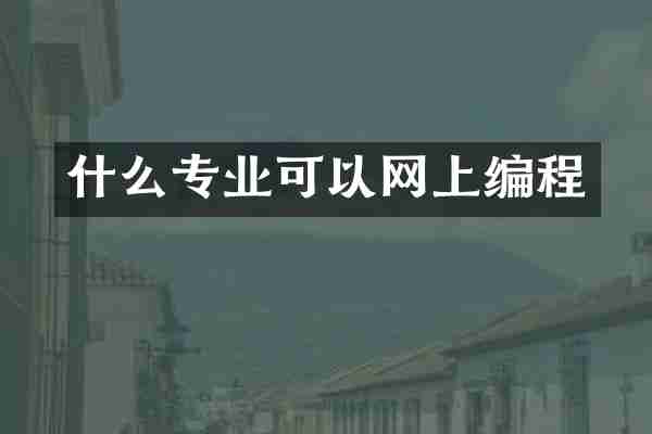 什么专业可以网上编程