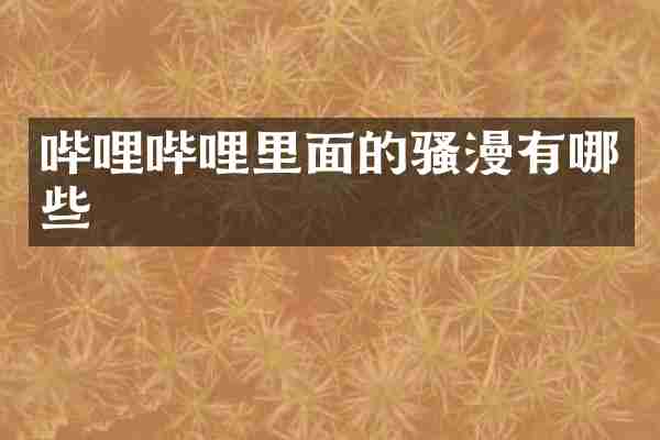哔哩哔哩里面的漫有哪些