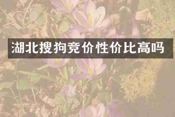 湖北搜狗竞价性价比高吗